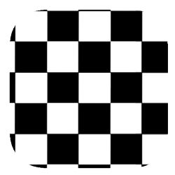 Coques Transparentes avec motif